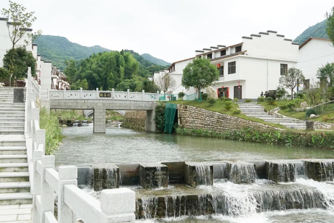 微信圖片_4.jpg 微信圖片_4.jpg